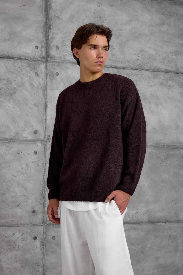 NOMARC Regular Fit Crew Neck Sweater - 1