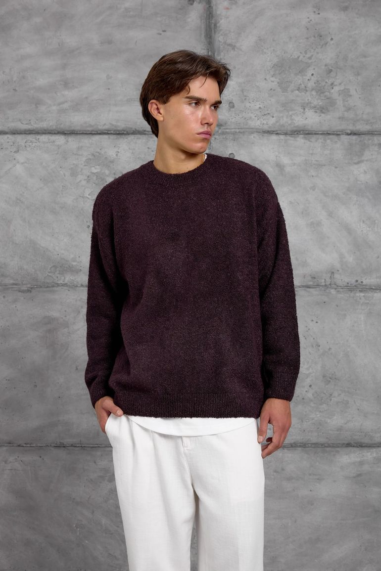 NOMARC Regular Fit Crew Neck Sweater - 5