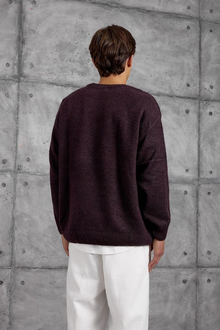 NOMARC Regular Fit Crew Neck Sweater - 4